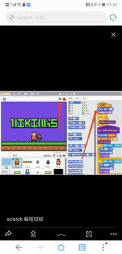 編程普及時代，報考計算機專業依然大有可為